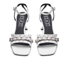 AVRIL 3895 -Semplice Chic Moda CLW389501 04